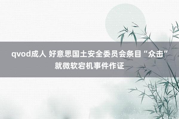 qvod成人 好意思国土安全委员会条目“众击”就微软宕机事件作证