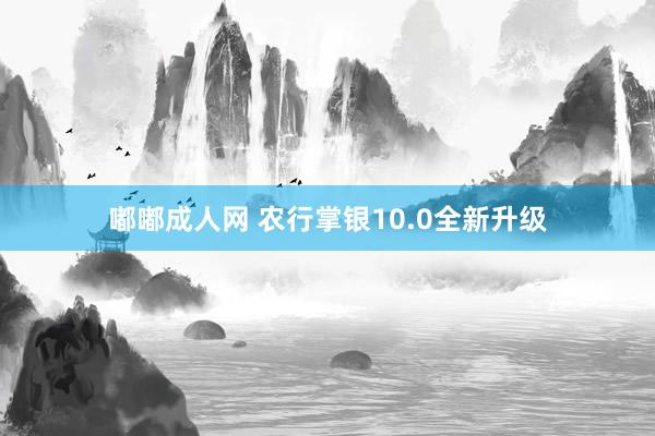 嘟嘟成人网 农行掌银10.0全新升级