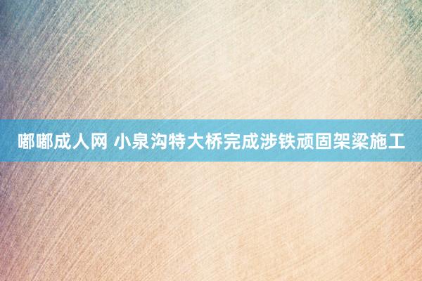 嘟嘟成人网 小泉沟特大桥完成涉铁顽固架梁施工