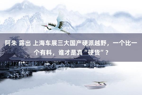 阿朱 露出 上海车展三大国产硬派越野，一个比一个有料，谁才是真“硬货”？