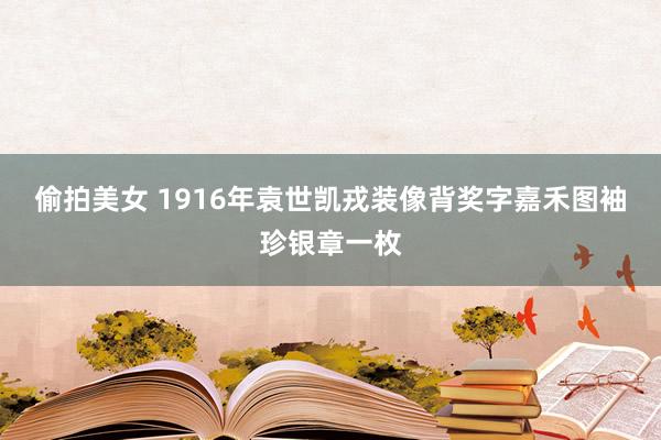 偷拍美女 1916年袁世凯戎装像背奖字嘉禾图袖珍银章一枚