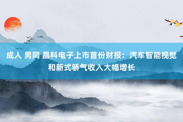 成人 男同 晶科电子上市首份财报：汽车智能视觉和新式骄气收入大幅增长